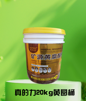 真的力20kg黄圆桶