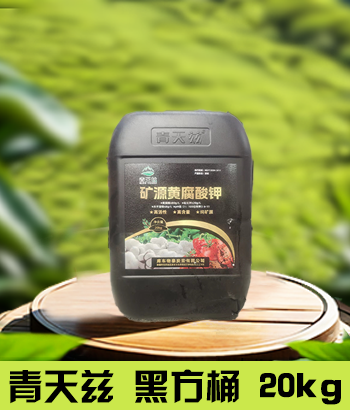 青天兹20kg黑方桶